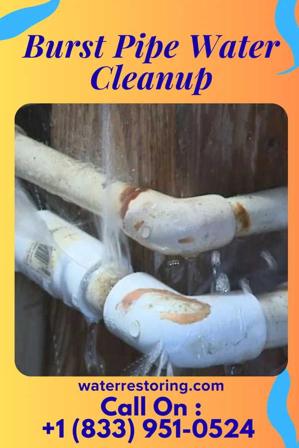 Burst Pipe Water Cleanup in Manchester, VA