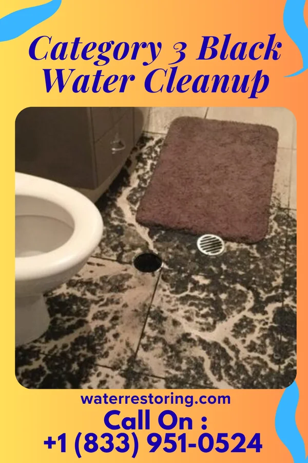 Category 3 Black Water Cleanup in Manchester, VA