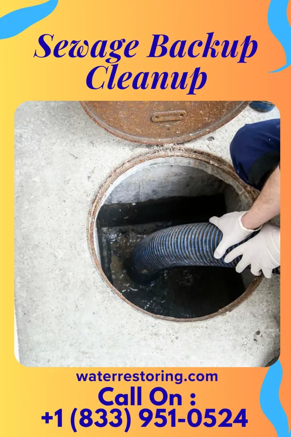 Sewage Backup Cleanup in Manchester, VA
